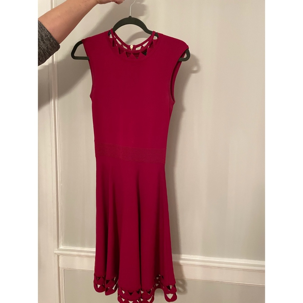 Stunning Ted Baker Dress - Work and Play!